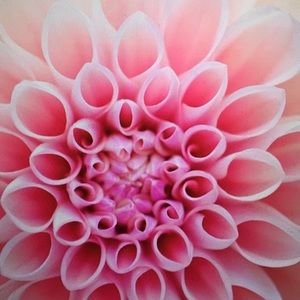 Meet your Posher, Marilun